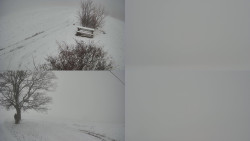 Sdružený snímek Bludný