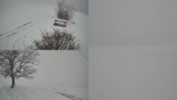 Sdružený snímek Bludný