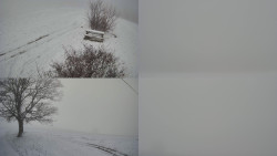 Sdružený snímek Bludný