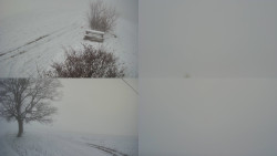 Sdružený snímek Bludný