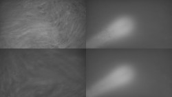 Sdružený snímek Bludný