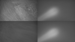 Sdružený snímek Bludný