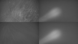 Sdružený snímek Bludný