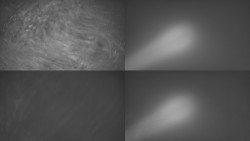 Sdružený snímek Bludný