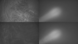 Sdružený snímek Bludný