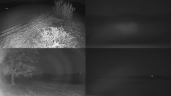 Sdružený snímek Bludný