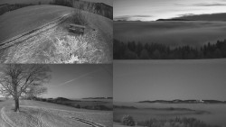 Sdružený snímek Bludný