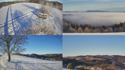 Sdružený snímek Bludný