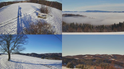 Sdružený snímek Bludný