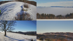 Sdružený snímek Bludný