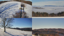 Sdružený snímek Bludný