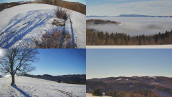 Sdružený snímek Bludný