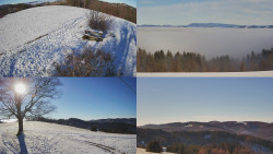 Sdružený snímek Bludný