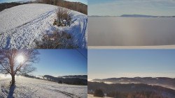 Sdružený snímek Bludný