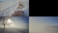 Sdružený snímek Bludný