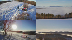 Sdružený snímek Bludný