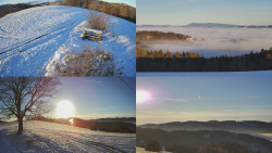 Sdružený snímek Bludný