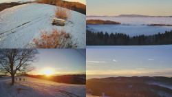 Sdružený snímek Bludný