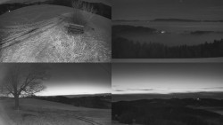 Sdružený snímek Bludný