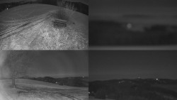 Sdružený snímek Bludný