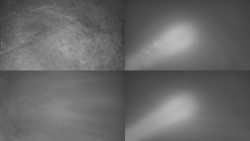 Sdružený snímek Bludný