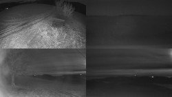 Sdružený snímek Bludný