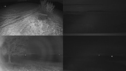 Sdružený snímek Bludný