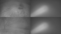 Sdružený snímek Bludný