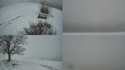 Sdružený snímek Bludný