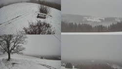 Sdružený snímek Bludný