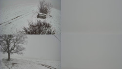 Sdružený snímek Bludný