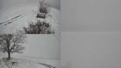 Sdružený snímek Bludný