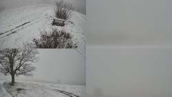 Sdružený snímek Bludný