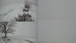 Sdružený snímek Bludný