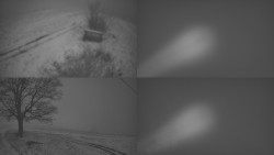 Sdružený snímek Bludný