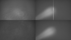 Sdružený snímek Bludný