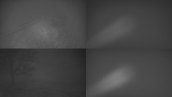 Sdružený snímek Bludný