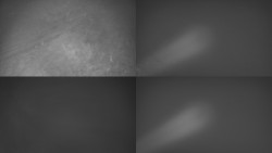 Sdružený snímek Bludný