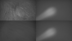 Sdružený snímek Bludný