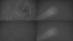 Sdružený snímek Bludný