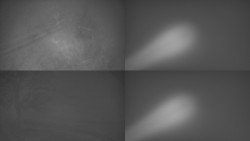 Sdružený snímek Bludný