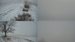 Sdružený snímek Bludný