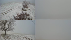 Sdružený snímek Bludný