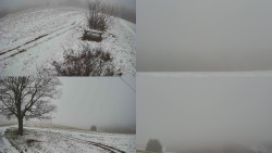 Sdružený snímek Bludný