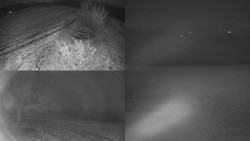 Sdružený snímek Bludný