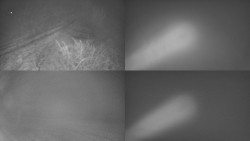 Sdružený snímek Bludný