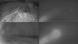 Sdružený snímek Bludný