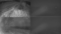 Sdružený snímek Bludný