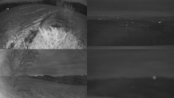 Sdružený snímek Bludný