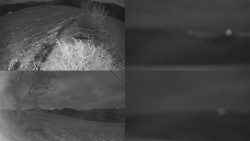 Sdružený snímek Bludný